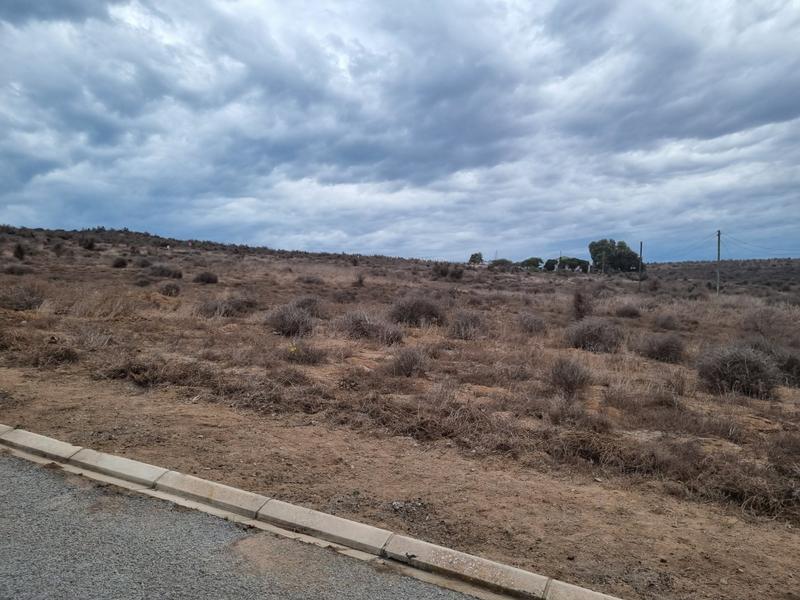0 Bedroom Property for Sale in Saldanha Rural Western Cape